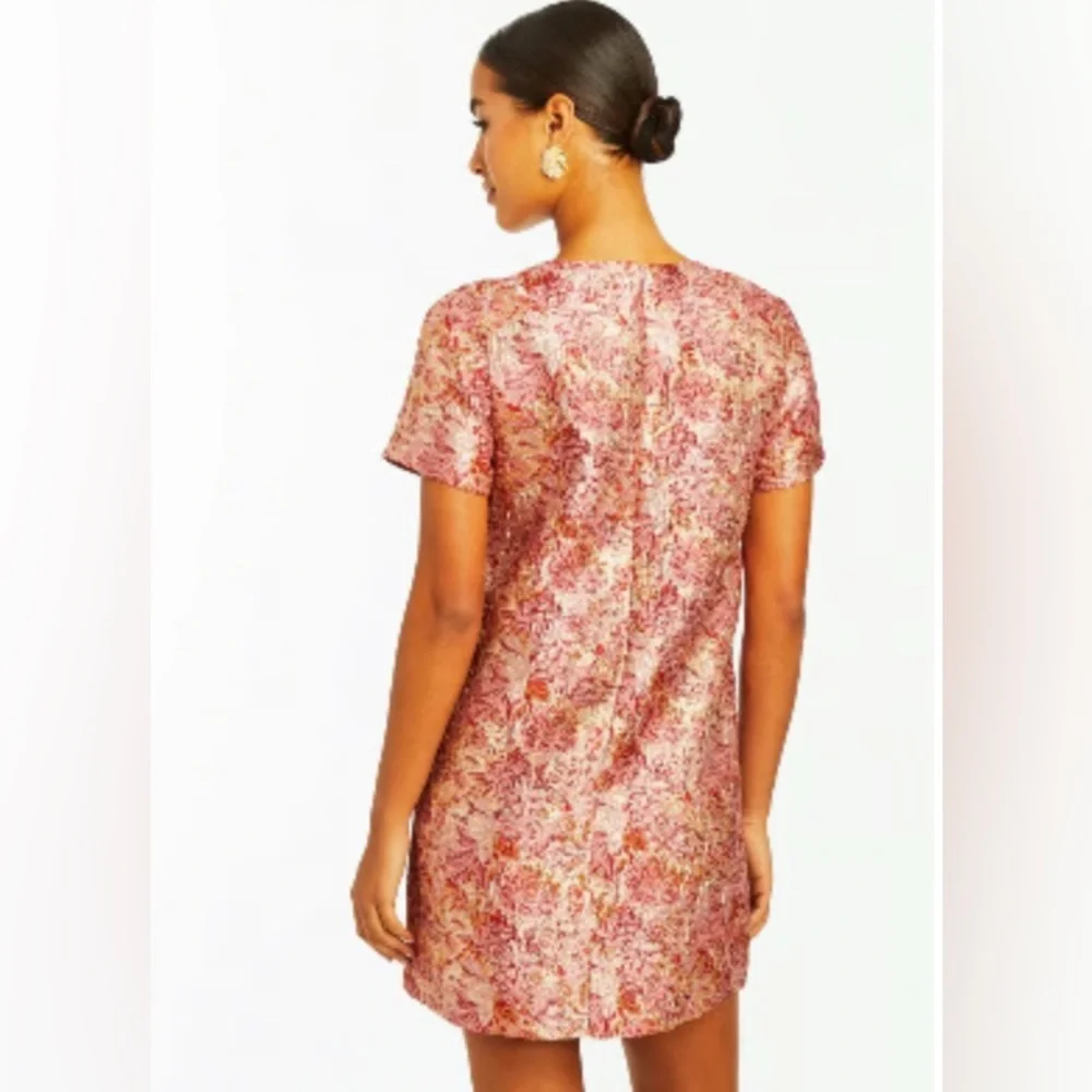 Mestiza New York Isolde Mini Dress Pink Floral Jacquard Shift Size 2 - Picture 3 of 14